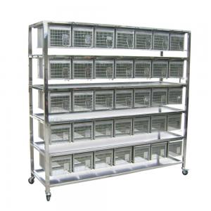 SPF Rabbit Cage with rack