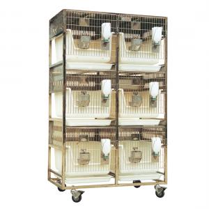 SPF Rabbit Cage with rack