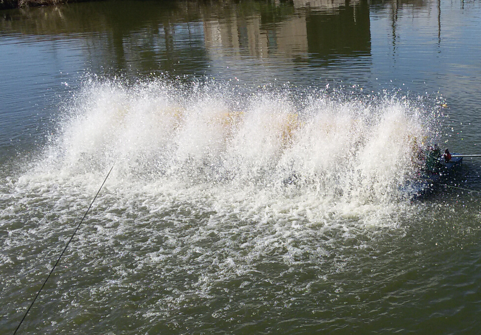 Paddlewheel Aerator