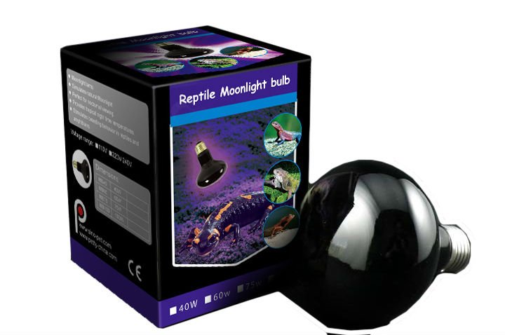 Reptile moon light bulb